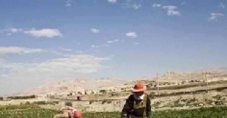 الحباشنة ينفي وقف تمويل المشاريع الزراعية