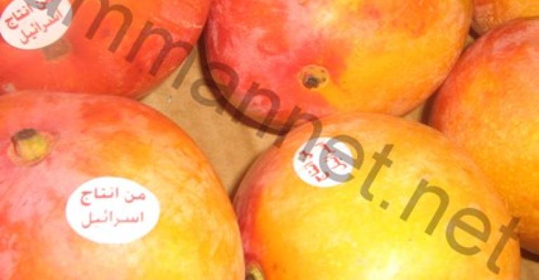 فيديو.. زيادة الاستيراد من اسرائيل نتيجة عجز الانتاج المحلي فيديو.. زيادة الاستيراد من اسرائيل نتيجة عجز الانتاج المحلي