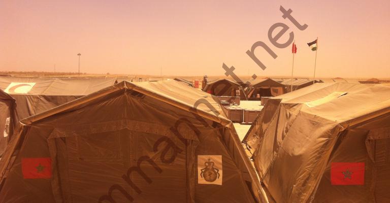 الزعتري " اصفر" الزعتري " اصفر"