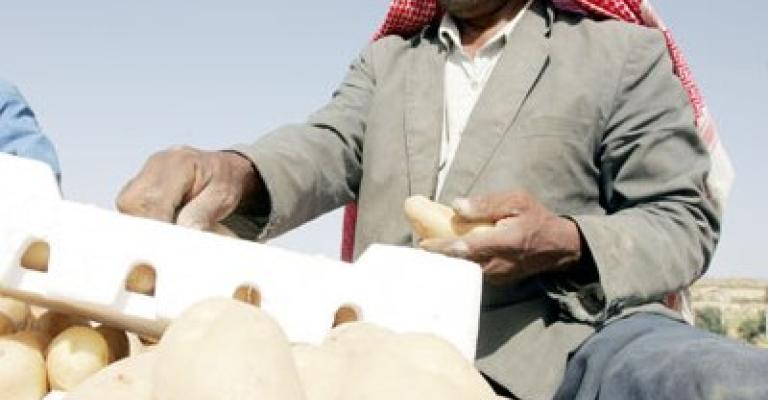 مزارعو وادي الاردن ينفذون اعتصاما مفتوحا مزارعو وادي الاردن ينفذون اعتصاما مفتوحا