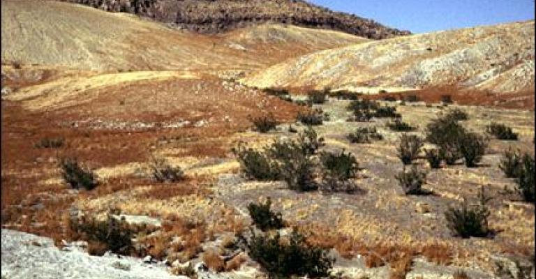 خبراء: الرقعة الخضراء في خطر