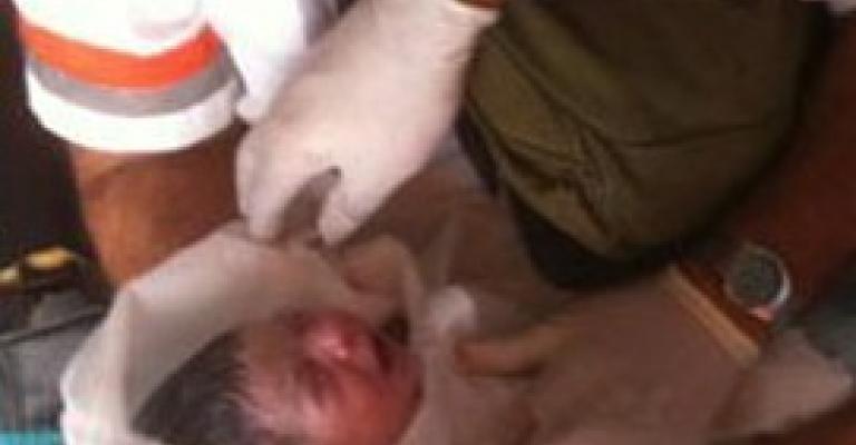 الجيزة: ولادة داخل سيارة اسعاف 