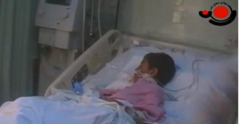 الكلاب الضالة.. همّ يؤرق أهالي مادبا - فيديو