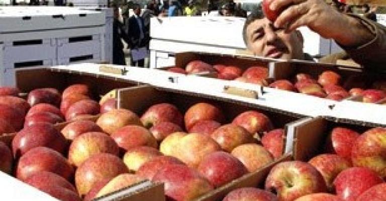 التفاح البلدي في المؤسسات الاستهلاكية قريبا 