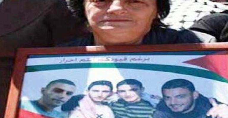 8 أعوام وشجرة العيد مطفأة ببيت عائلة الحلبي المقدسية 8 أعوام وشجرة العيد مطفأة ببيت عائلة الحلبي المقدسية