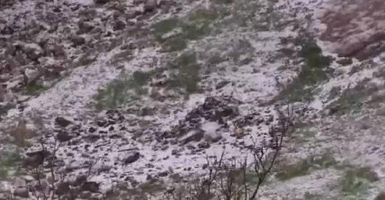 ثلوج عمان – فيديو