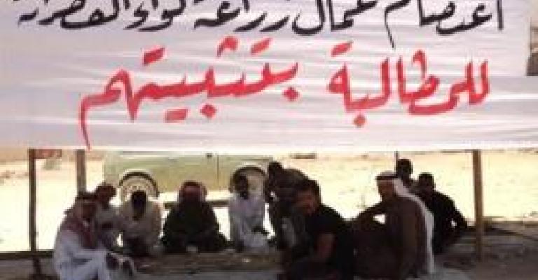 عمال مياومة زراعة الكرك وخيبة امل 