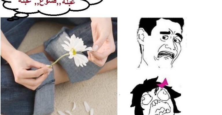 الحلقة 27 من مسلسل عبلة وحازم الحلقة 27 من مسلسل عبلة وحازم