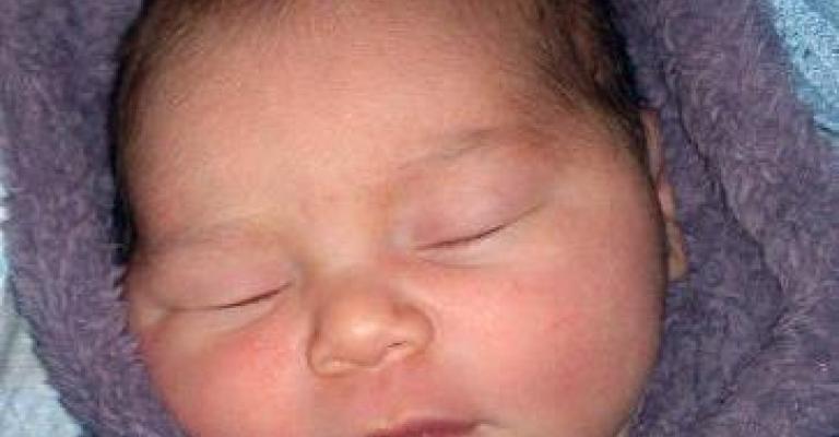 الزميل عبده يرزق بـ سيرين الزميل عبده يرزق بـ سيرين