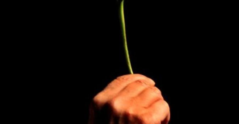 الورد الاحمر حاضر في عيد الحب (الفالنتاين)- عدسة محمد ابو غوش/ فيسبوك