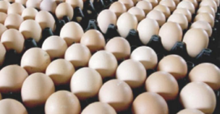الصناعة والتجارة تحدد اسعار البيض
