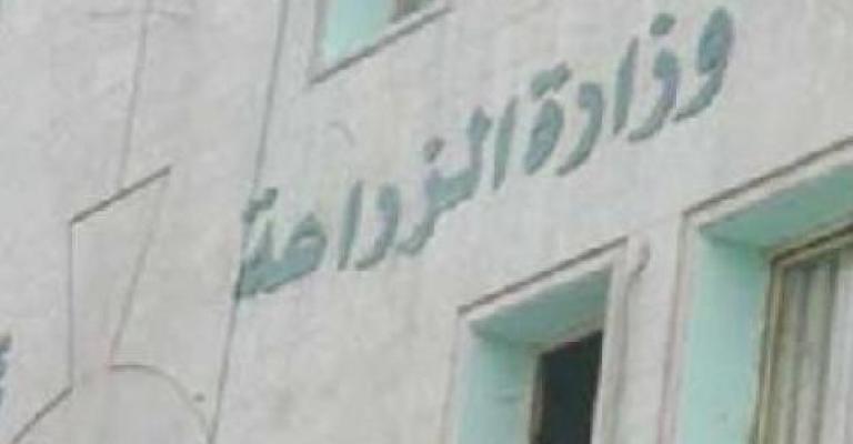 وزير الزراعة يتعهد بتثبيت عمال المياومة 