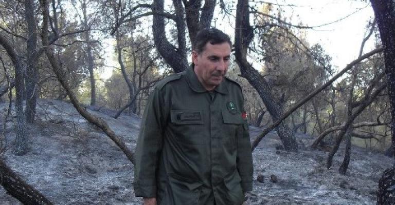 بيئيون يرفضون اقصاء الشرمان عن إدارة الحراج 