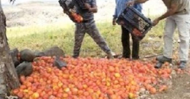 خبراء ينتقدون غياب مشاكل القطاع الزارعي عن بيان الثقة