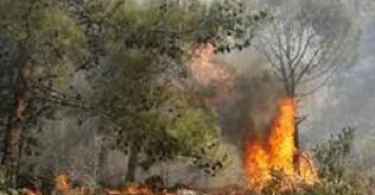 موسم الصيف .. موعد متجدد مع الحرائق الإسرائيلية الحدودية 