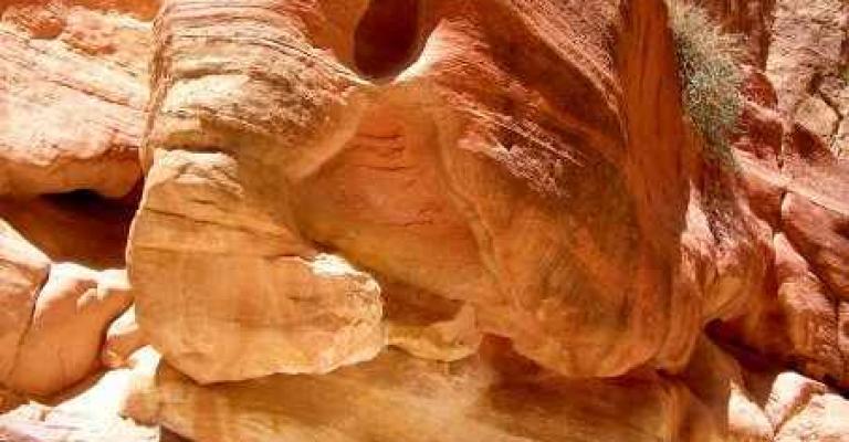 بعد غياب لـ45 عاما.. الحكومة تتحقق من هوية مفقود في البتراء بعد غياب لـ45 عاما.. الحكومة تتحقق من هوية مفقود في البتراء