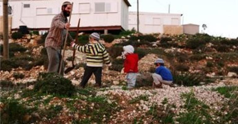 الجيش الإسرائيلي وسع المستوطنات عام 2012 بـ 8 آلاف دونم