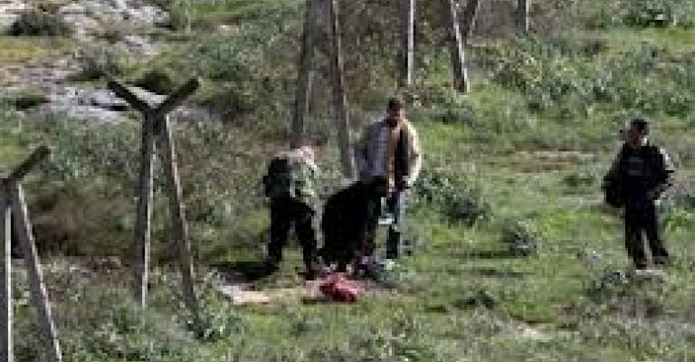 العبابنة بحرقة: بدي بنتي يا أخي