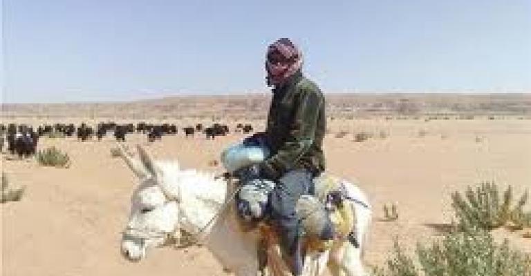 البدون... أردنيون من جانب واحد البدون... أردنيون من جانب واحد