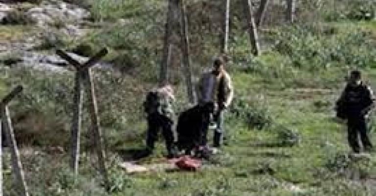 القبض على 90 متسللاً من الأراضي السورية