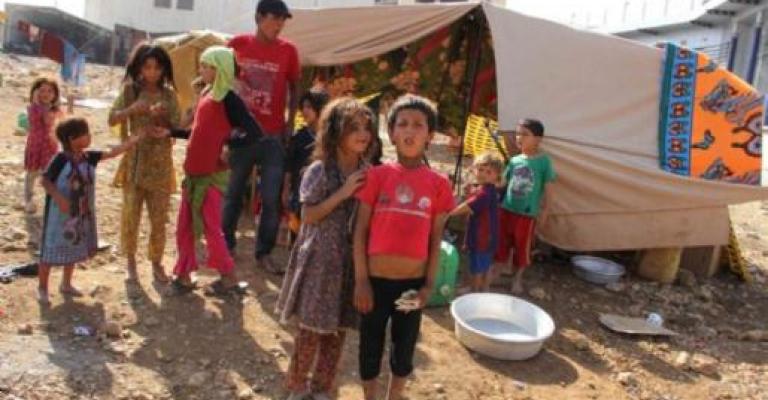 مجموعات من النّور تعيث في الزرقاء وتثير استياء واسعا (فيديو)