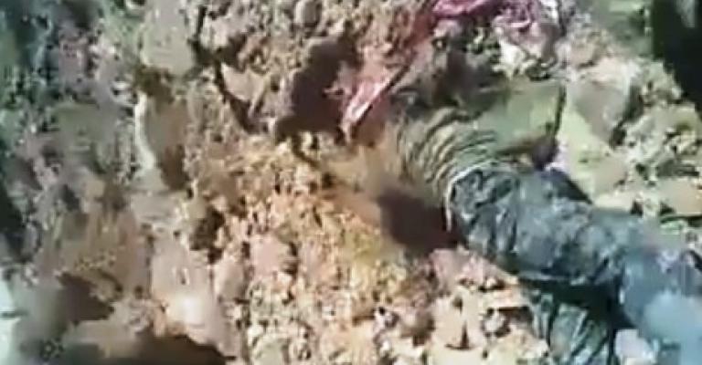 الحبس سنة واحدة لأربعة أشخاص في قضية "الراشدية"