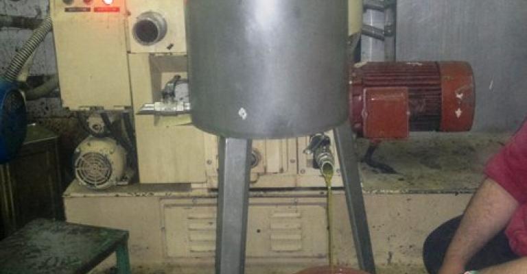 الزرقاء: تأثير محدود لذبابة الزيتون على الموسم والاسعار حول معدلاتها الزرقاء: تأثير محدود لذبابة الزيتون على الموسم والاسعار حول معدلاتها