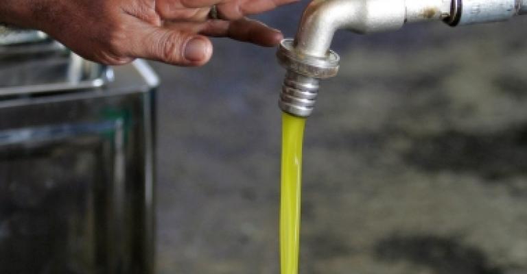 تنكة زيت الزيتون بـ 65 دينار والزيت المغشوش ينتشر في مناطق الشمال