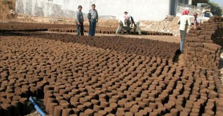 "جفت الزيتون" وقود شتاء الفقراء والفارين من غلاء المحروقات "جفت الزيتون" وقود شتاء الفقراء والفارين من غلاء المحروقات