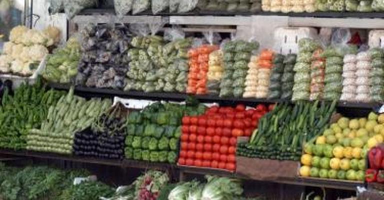 ياسين: التصدير غير القانوني للخضار يسيء لسمعة الاردن