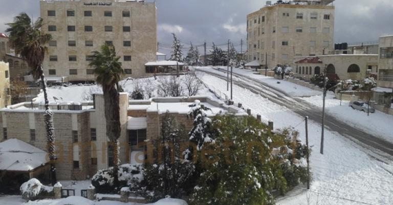 الزائر الأبيض في ضاحية الرشيد- بعدسة الزميلة "هبة الحياة" عبيدات الزائر الأبيض في ضاحية الرشيد- بعدسة الزميلة "هبة الحياة" عبيدات