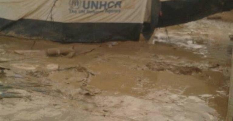 برد الوطن.. أفضل من دفء الغربة برد الوطن.. أفضل من دفء الغربة