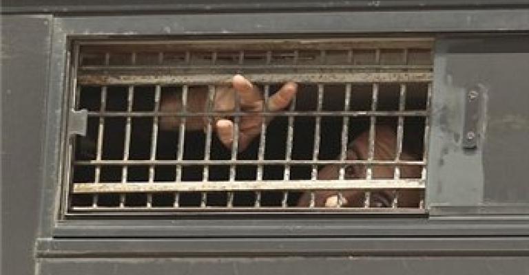 3 أسرى في عوفر يشرعون بإضراب عن الطعام