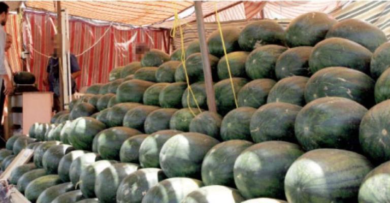 الامانة تستقبل تراخيص معرشات البطيخ مطلع نيسان