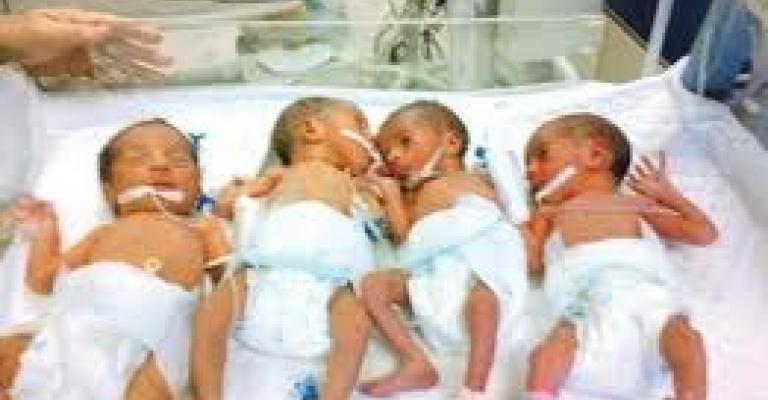 ولادة 1549 طفلا سوريا في المفرق العام الماضي ولادة 1549 طفلا سوريا في المفرق العام الماضي