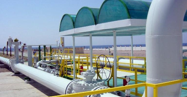 السفير المصري: الاخوان وراء تفجير خط الغاز لقطع العلاقة مع الاردن