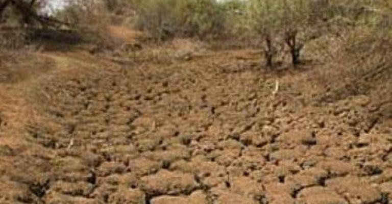 خبير: استبعاد تأثير حالة الجفاف على مياه الشرب