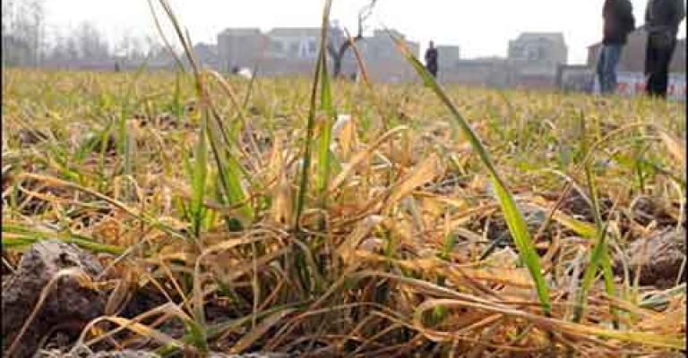 مطالبات بجلسة طارئة لبحث الوضع الزراعي وحالة الجفاف