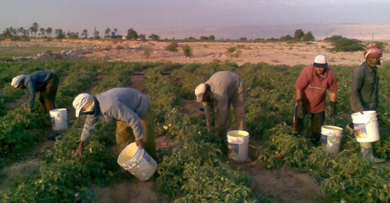 صندوق المخاطر الزراعية في مهب الريح
