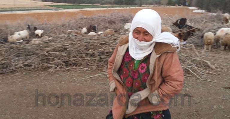 أمهات في الظليل يتحدين الفقر وينتزعن الحياة لأسرهن أمهات في الظليل يتحدين الفقر وينتزعن الحياة لأسرهن