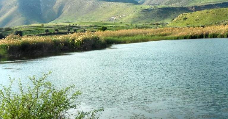 بحيرة "ام العرايس" - قرية ملكا بإربد شمال الأردن 