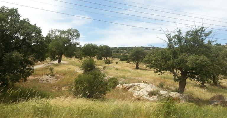 "بيرين" رئة الزرقاء وعاصمتها السياحية "بيرين" رئة الزرقاء وعاصمتها السياحية