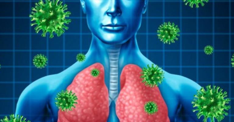 الاشتباه بـ15 إصابة بالكورونا..وحليب الجمال ناقل أساسي للمرض الاشتباه بـ15 إصابة بالكورونا..وحليب الجمال ناقل أساسي للمرض