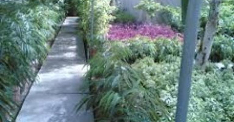 لاجئون سوريون يحاولون بعث الحياة في الصحراء لاجئون سوريون يحاولون بعث الحياة في الصحراء