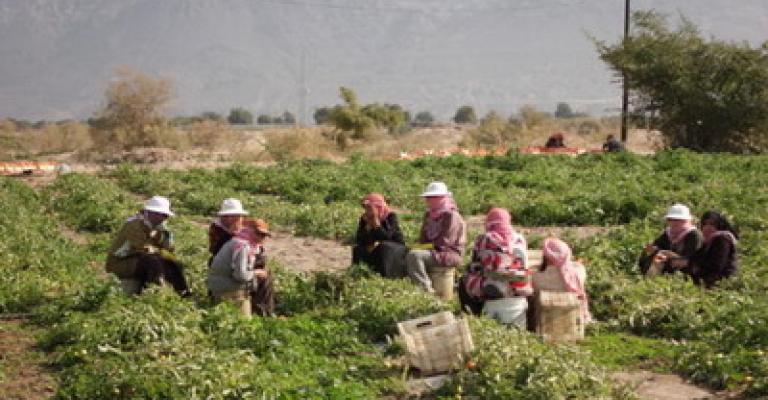 جمعيات المياه بالأغوار تلقى استحسان المزارعين - فيديو 