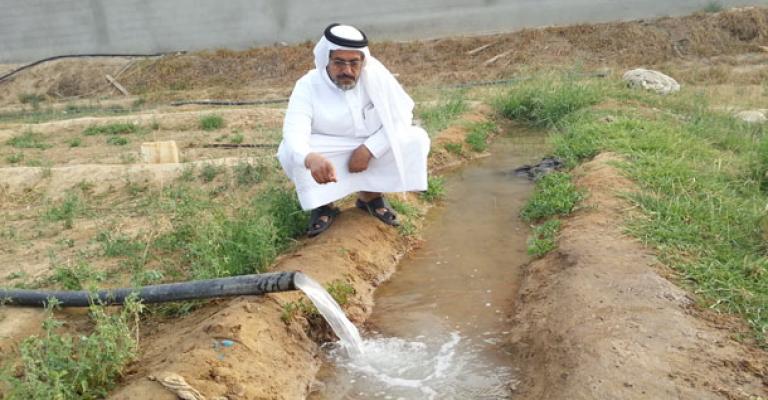 خبراء : على المزارعين التوجه إلى زراعة المحاصيل التي لا تستهلك المياه خبراء : على المزارعين التوجه إلى زراعة المحاصيل التي لا تستهلك المياه