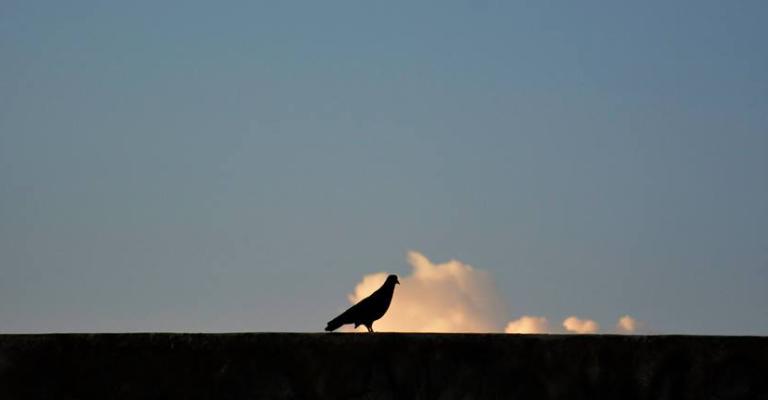 طقس لطيف حتى الاربعاء طقس لطيف حتى الاربعاء