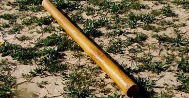 "المعلمين" تستنكر استمرار الإعتداء على كوادرها 