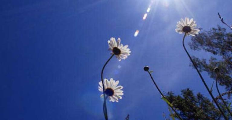 طقس لطيف اليوم وامطار في اليومين المقبلين طقس لطيف اليوم