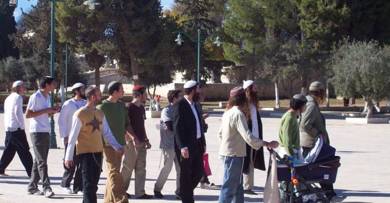 مدير عام الأقصى: تضاعف اقتحامات المسجد رغم التهدئة مدير عام الأقصى: تضاعف اقتحامات المسجد رغم التهدئة